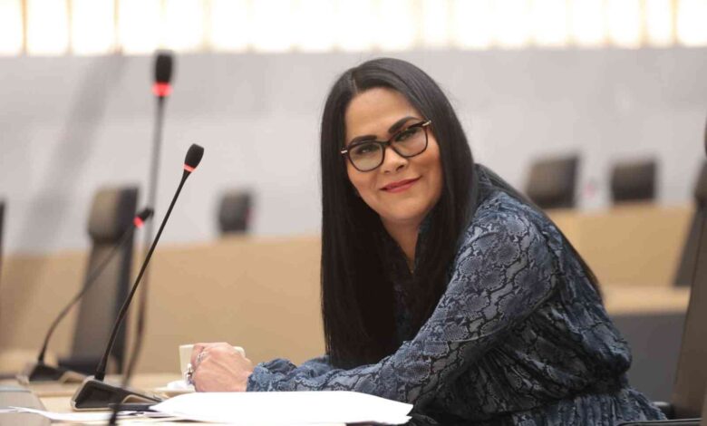 Proponen en el Congreso la creación de un “Fondo de Orfandad” para garantizar el bienestar de menores