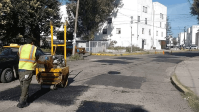 bacheo