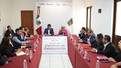 participación ciudadana