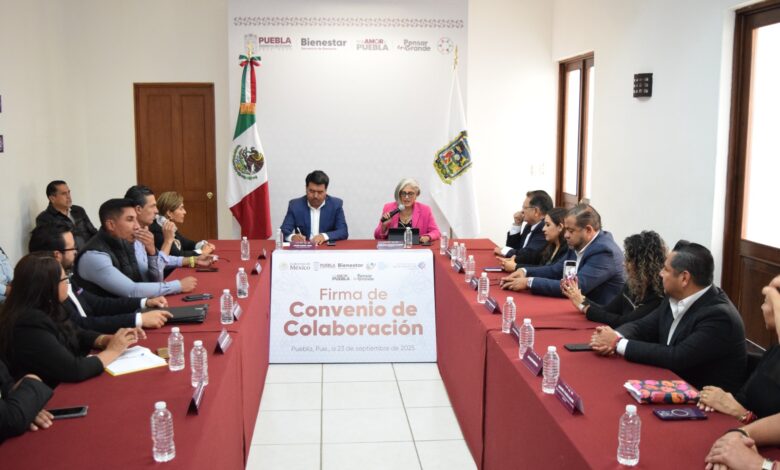 participación ciudadana