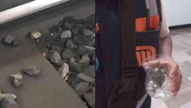 ¡Héroes en el Metro! Rescatan a una pequeña tortuga de las vías de la Línea 2