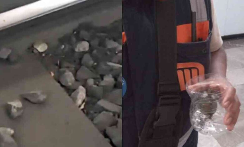 ¡Héroes en el Metro! Rescatan a una pequeña tortuga de las vías de la Línea 2