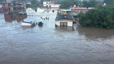 Alerta ignorada en Veracruz; Conagua avisó antes de la tragedia por lluvias récord