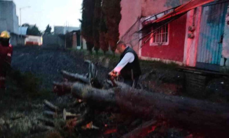 Atiende Gobierno de la Ciudad incidentes por lluvias sin personas lesionadas