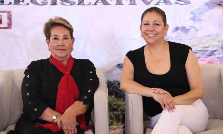 Diputada Modesta Delgado, destaca iniciativas en favor de menores y movilidad en Primer Informe