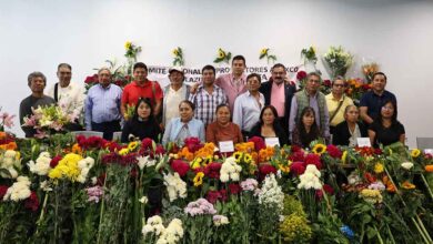 Flores Atlixco