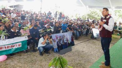 Gobierno de Puebla reforesta Zoquitlán con frutales y fortalece riqueza comunitaria