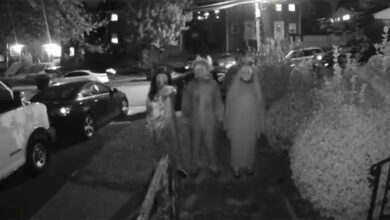 Halloween-Virginia