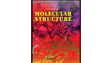 Journal of Molecular Structure