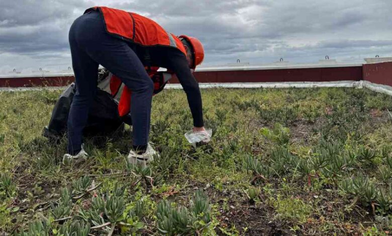 Preocupa al Congreso de Puebla daños por lluvias en nueva sede; buscan intervención del INAH