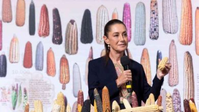 Presidenta Claudia Sheinbaum anuncia programa “Sin Maíz No Hay País” para producir con bienestar (1)