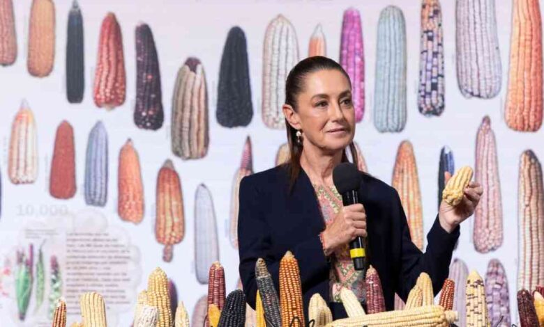 Presidenta Claudia Sheinbaum anuncia programa “Sin Maíz No Hay País” para producir con bienestar (1)