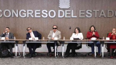 Congreso debilidad visual