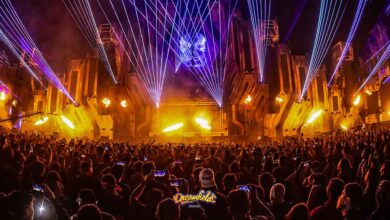 Dreamfields