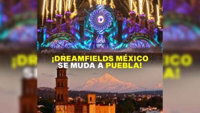 Dreamfields-sede