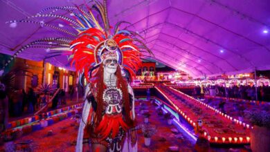 Festival de la Luz y la Vida