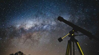 La-Noche-de-las-Estrellas