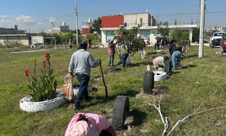 Medio Ambiente