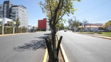 vialidades