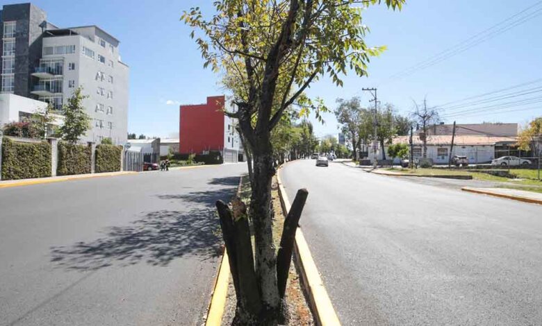 vialidades