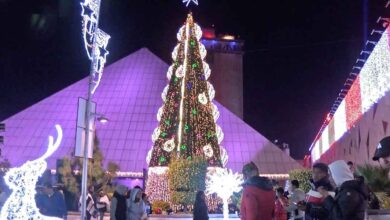 Festival Navideño