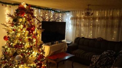 Navidad