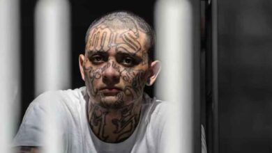 Mara Salvatrucha