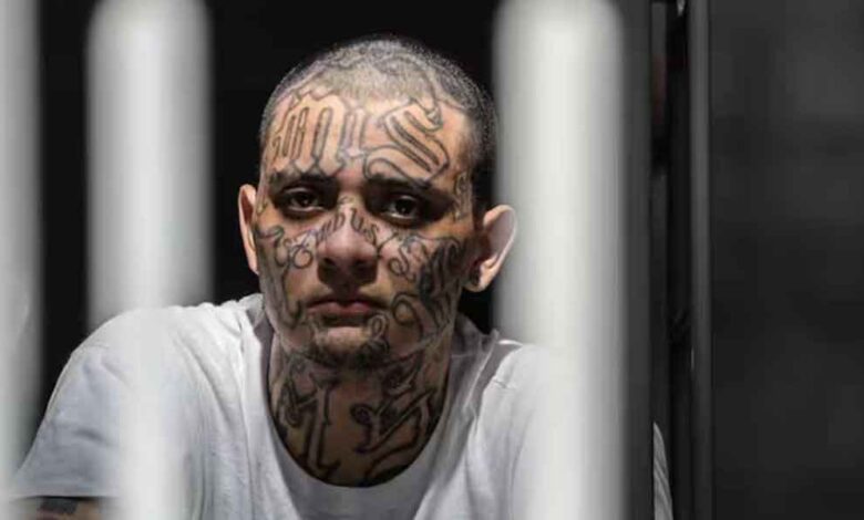 Mara Salvatrucha