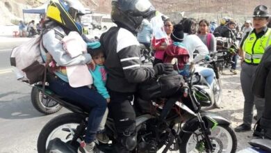 Ley Casco