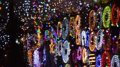 navideños
