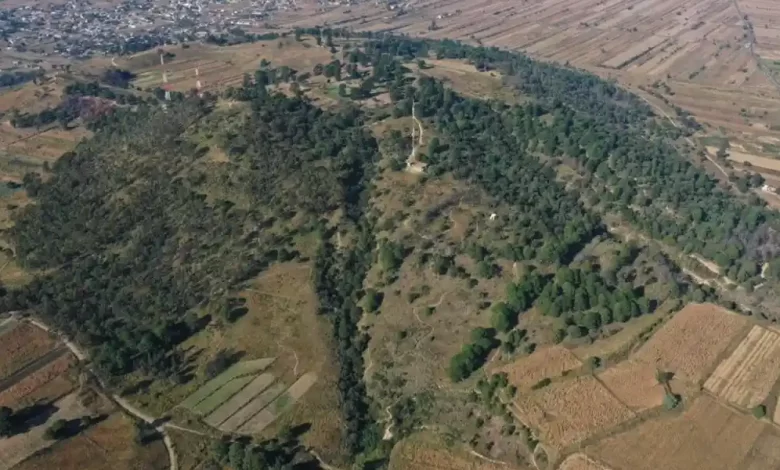 Cerro Zapotecas