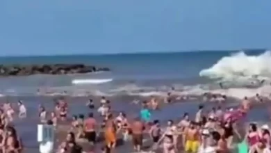Mar del Plata