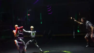 Ultimate Fighting Robot