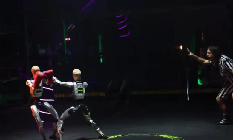 Ultimate Fighting Robot