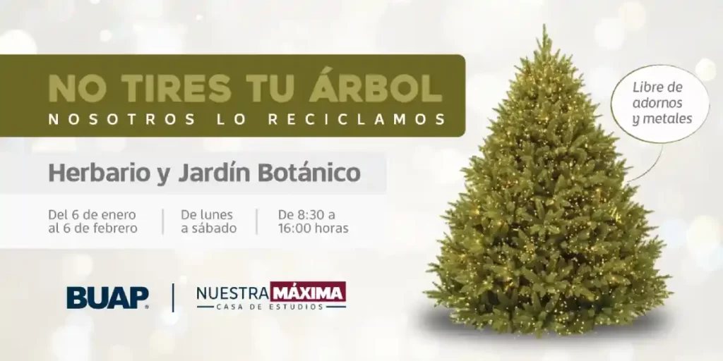 árboles de Navidad