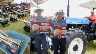 campo poblano