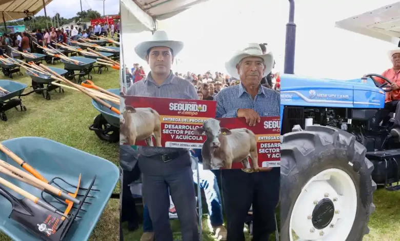 campo poblano