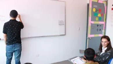educación abierta