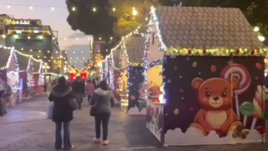festividades decembrinas