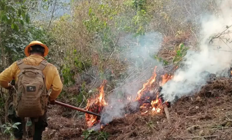 incendios forestales Puebla
