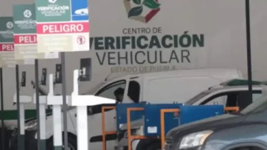 verificación vehicular