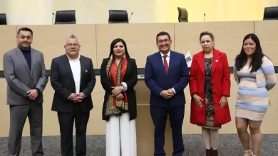 Diputado por un Día