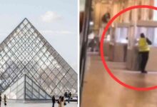 Museo del Louvre