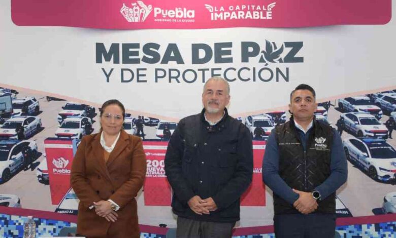 Seguridad Puebla