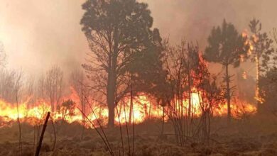 incendios forestales