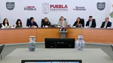 sector agrícola
