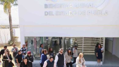 bienestar animal