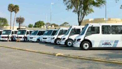 Secretaría de Movilidad y Transporte