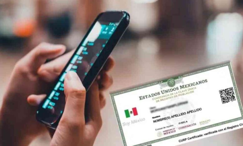 CURP telefono mexico
