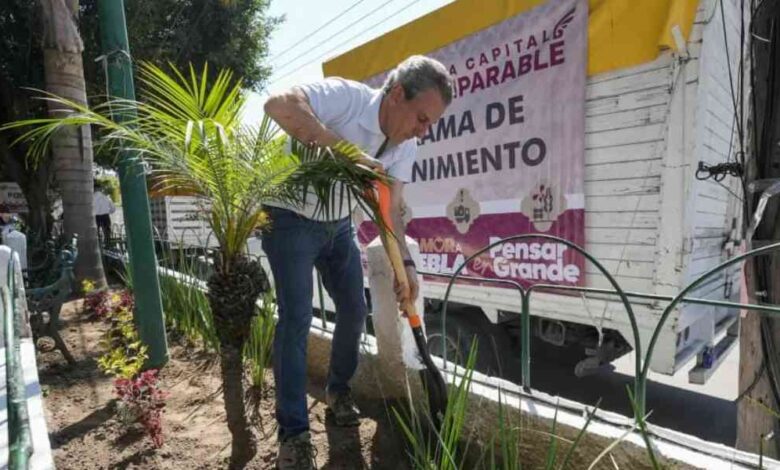Pepe Chedraui reforestación